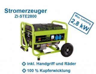 Zipper Maschinen Stromerzeuger ZI - STE2800 230V 2,5 kW